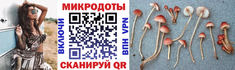 Галлюциногенные грибы ЛСД Киренск